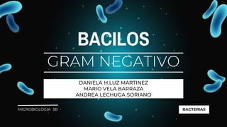 BACILOS
GRAM NEGATIVO
DANIELA H.LUZ MARTINEZ
MARIO VELA BARRAZA
ANDREA LECHUGA SORIANO
BACTERIAS
MICROBIOLOGIA 3B
 