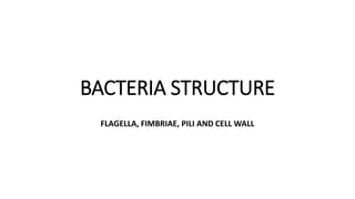 BACTERIA STRUCTURE
FLAGELLA, FIMBRIAE, PILI AND CELL WALL
 