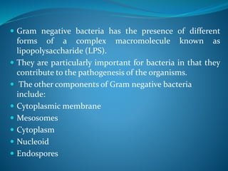  Gram negative bacteria has the presence of different
forms of a complex macromolecule known as
lipopolysaccharide (LPS).
 They are particularly important for bacteria in that they
contribute to the pathogenesis of the organisms.
 The other components of Gram negative bacteria
include:
 Cytoplasmic membrane
 Mesosomes
 Cytoplasm
 Nucleoid
 Endospores
 