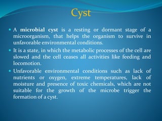 Cyst
 A microbial cyst is a resting or dormant stage of a
microorganism, that helps the organism to survive in
unfavorable environmental conditions.
 It is a state, in which the metabolic processes of the cell are
slowed and the cell ceases all activities like feeding and
locomotion.
 Unfavorable environmental conditions such as lack of
nutrients or oxygen, extreme temperatures, lack of
moisture and presence of toxic chemicals, which are not
suitable for the growth of the microbe trigger the
formation of a cyst.
 