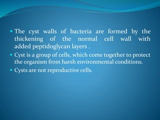  The cyst walls of bacteria are formed by the
thickening of the normal cell wall with
added peptidoglycan layers .
 Cyst is a group of cells, which come together to protect
the organism from harsh environmental conditions.
 Cysts are not reproductive cells.
 