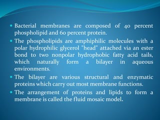 Bacterial membranes are composed of 40 percent
phospholipid and 60 percent protein.
 The phospholipids are amphiphilic molecules with a
polar hydrophilic glycerol "head" attached via an ester
bond to two nonpolar hydrophobic fatty acid tails,
which naturally form a bilayer in aqueous
environments.
 The bilayer are various structural and enzymatic
proteins which carry out most membrane functions.
 The arrangement of proteins and lipids to form a
membrane is called the fluid mosaic model.
 