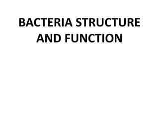 BACTERIA STRUCTURE
AND FUNCTION
 