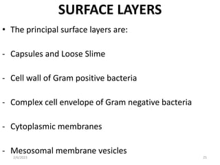 BACTERIA STRUCTURE AND FUNCTION [Autosaved].pptx