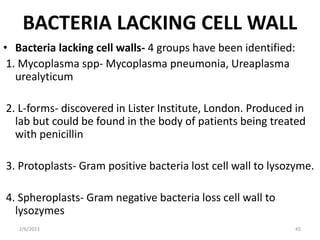BACTERIA STRUCTURE AND FUNCTION [Autosaved].pptx
