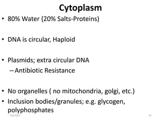 BACTERIA STRUCTURE AND FUNCTION [Autosaved].pptx