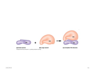 BACTERIA STRUCTURE AND FUNCTION [Autosaved].pptx