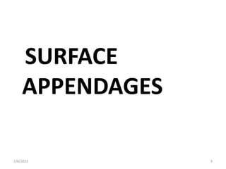 SURFACE
APPENDAGES
2/6/2023 9
 