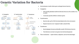Bacteria Structure, Reproduction, and Nutrition .pdf