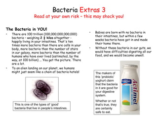 The Bacteria in YOU!
• There are 100 trillion (100,000,000,000,000)
bacteria – weighing 2 ½ kilos altogether -
happily living in your intestines. That's ten
times more bacteria than there are cells in your
body, more bacteria than the number of stars
in our galaxy, more bacteria than the number of
humans who have ever lived (estimated, by the
way, at 100 billion) ... You get the picture. There
are a lot.
• To an alien landing on our planet, we humans
might just seem like a chain of bacteria hotels!
Bacteria Extras 3
Read at your own risk – this may shock you!
This is one of the types of ‘good’
bacteria that live in people’s intestines.
The makers of
this ‘probiotic’
yoghurt claim
that the bacteria
in it are good for
your digestive
system.
Whether or not
that’s true, they
are certainly
safe to eat.
• Babies are born with no bacteria in
their intestines, but within a few
weeks bacteria have got in and made
their home there.
• Without these bacteria in our guts, we
would have difficulties digesting all our
food, and we would become unwell.
 