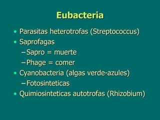 Eubacteria Parasitas heterotrofas (Streptococcus) Saprofagas Sapro = muerte Phage = comer Cyanobacteria (algas verde-azules) Fotosinteticas Quimiosinteticas autotrofas (Rhizobium) 
