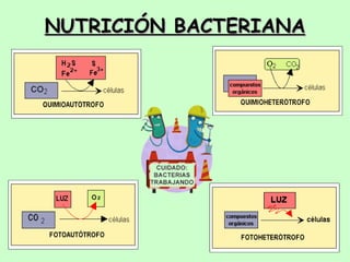 NUTRICIÓN BACTERIANA 