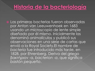    Las primeras bacterias fueron observadas
    por Anton van Leeuwenhoek en 1683
    usando un microscopio de lente simple
    diseñado por él mismo. Inicialmente las
    denominó animalículos y publicó sus
    observaciones en una serie de cartas que
    envió a la Royal Society.El nombre de
    bacteria fue introducido más tarde, en
    1828, por Ehrenberg. Deriva del griego
    βακτήριον -α, bacterion -a, que significa
    bastón pequeño.
 