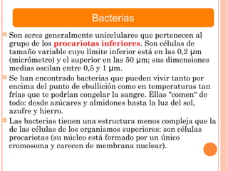  Son seres generalmente unicelulares que pertenecen al
grupo de los procariotas inferiores. Son células de
tamaño variable cuyo límite inferior está en las 0,2 μm
(micrómetro) y el superior en las 50 μm; sus dimensiones
medias oscilan entre 0,5 y 1 μm.
 Se han encontrado bacterias que pueden vivir tanto por
encima del punto de ebullición como en temperaturas tan
frías que te podrían congelar la sangre. Ellas "comen" de
todo: desde azúcares y almidones hasta la luz del sol,
azufre y hierro.
 Las bacterias tienen una estructura menos compleja que la
de las células de los organismos superiores: son células
procariotas (su núcleo está formado por un único
cromosoma y carecen de membrana nuclear).
Bacterias
 