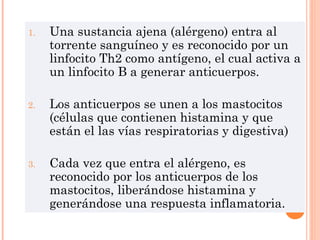1. Una sustancia ajena (alérgeno) entra al
torrente sanguíneo y es reconocido por un
linfocito Th2 como antígeno, el cual activa a
un linfocito B a generar anticuerpos.
2. Los anticuerpos se unen a los mastocitos
(células que contienen histamina y que
están el las vías respiratorias y digestiva)
3. Cada vez que entra el alérgeno, es
reconocido por los anticuerpos de los
mastocitos, liberándose histamina y
generándose una respuesta inflamatoria.
 