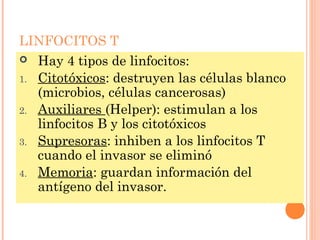 LINFOCITOS T
 Hay 4 tipos de linfocitos:
1. Citotóxicos: destruyen las células blanco
(microbios, células cancerosas)
2. Auxiliares (Helper): estimulan a los
linfocitos B y los citotóxicos
3. Supresoras: inhiben a los linfocitos T
cuando el invasor se eliminó
4. Memoria: guardan información del
antígeno del invasor.
 