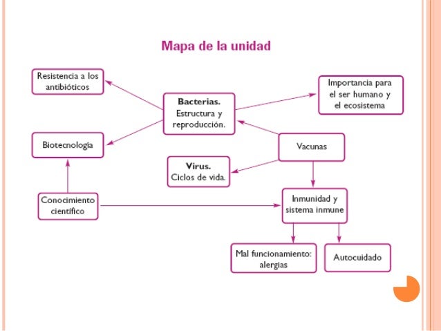Bacterias y virus cuarto