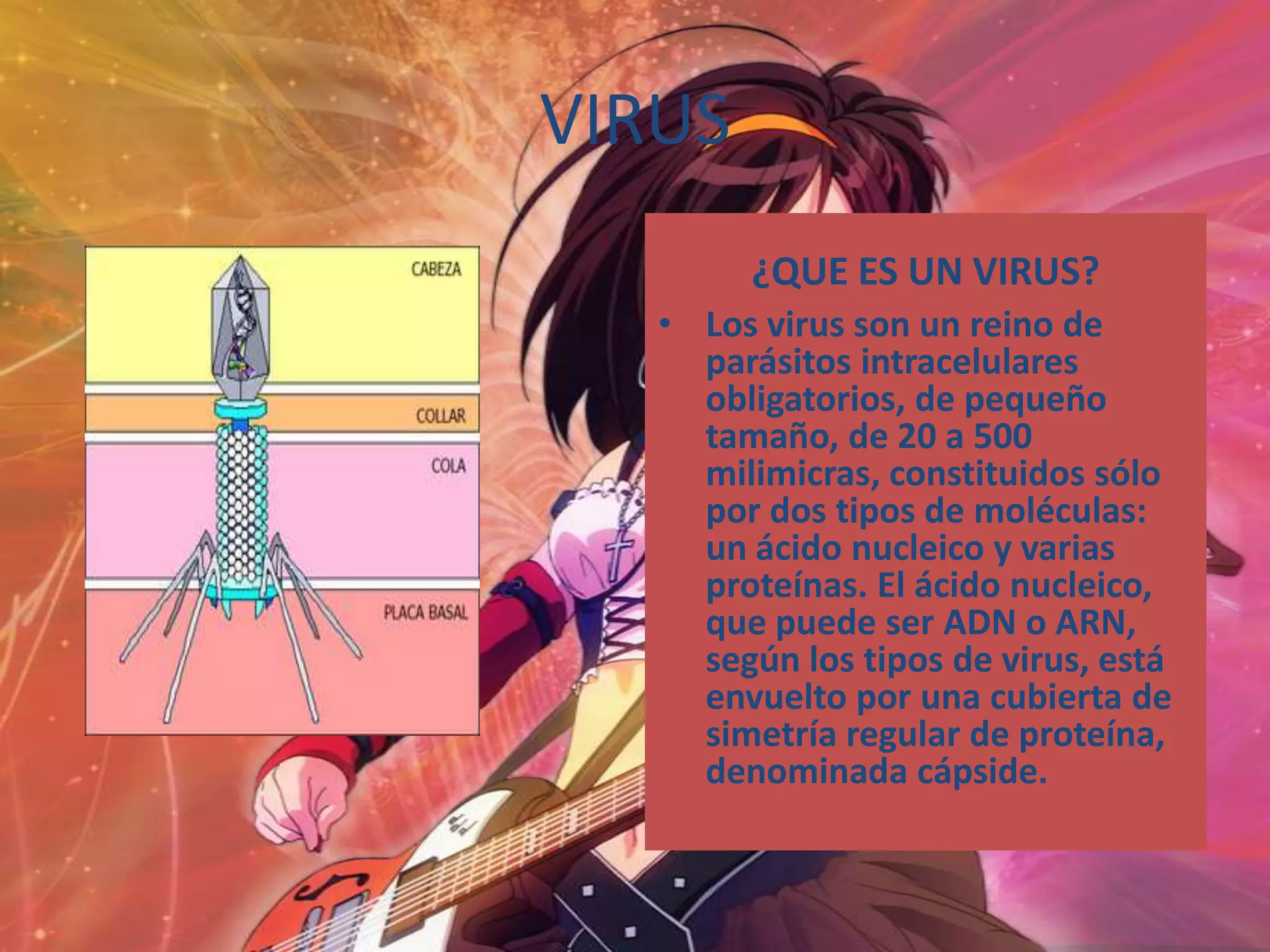 VIRUS¿QUE ES UN VIRUS?Los virus son un reino de parásitos intracelulares obligatorios, de pequeño tamaño, de 20 a 500 milimicras, constituidos sólo por dos tipos de moléculas: un ácido nucleico y varias proteínas. El ácido nucleico, que puede ser ADN o ARN, según los tipos de virus, está envuelto por una cubierta de simetría regular de proteína, denominada cápside.
