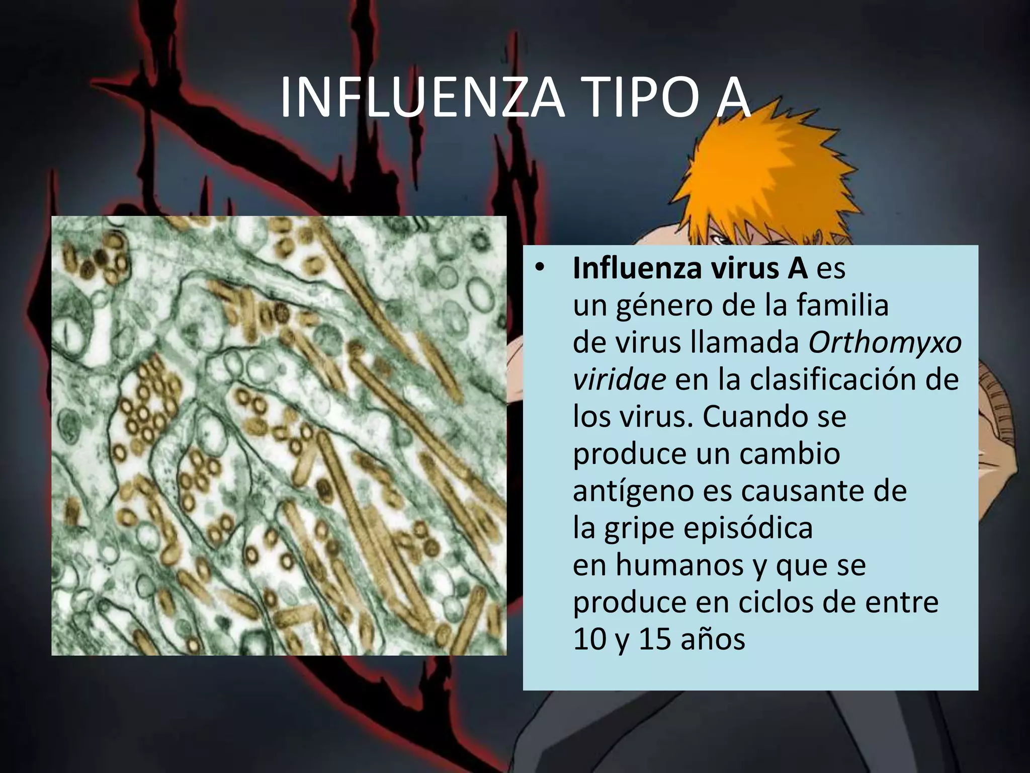 INFLUENZA TIPO AInfluenza virus A es un género de la familia de virus llamada Orthomyxoviridae en la clasificación de los virus. Cuando se produce un cambio antígeno es causante de la gripe episódica en humanos y que se produce en ciclos de entre 10 y 15 años