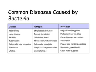 Common Diseases Caused by
Bacteria
Disease                     Pathogen                     Prevention

Tooth decay                 Streptococcus mutans         Regular dental hygiene
Lyme disease                Borrelia burgdorferi         Protection from tick bites
Tetanus                     Clostridium tetani           Current tetanus vaccination
Tuberculosis                Mycobacterium tuberculosis   Vaccination
Salmonella food poisoning   Salmonella enteritidis       Proper food-handling practices
Pneumonia                   Streptococcus pneumoniae     Maintaining good health
Cholera                     Vibrio cholerae              Clean water supplies
 