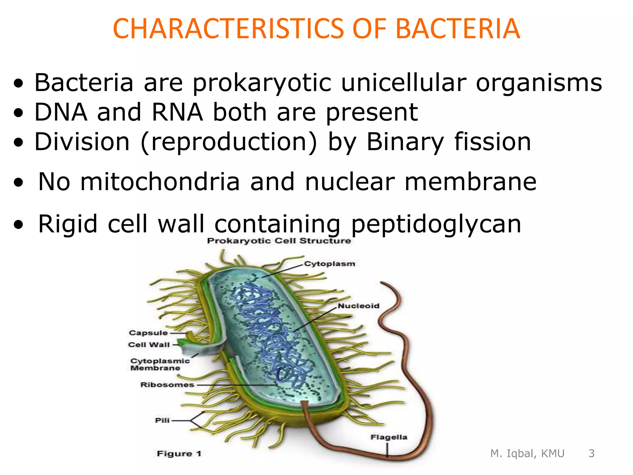 Bacteria Unit I 1 Pptx