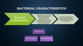 BACTERIAL CHARACTERISTICS
Bacterial
Characteristics

Bacteria are of immense
importance because of
their rapid growth,
reproduction, and
mutation rates, as well as,
their ability to exist under
adverse conditions.

The oldest fossils known,
nearly 3.5 billion years
old, are fossils of bacterialike organisms.

 