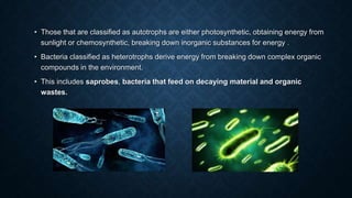 • Those that are classified as autotrophs are either photosynthetic, obtaining energy from
sunlight or chemosynthetic, breaking down inorganic substances for energy .
• Bacteria classified as heterotrophs derive energy from breaking down complex organic
compounds in the environment.

• This includes saprobes, bacteria that feed on decaying material and organic
wastes.

 