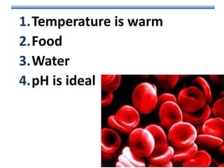 1.Temperature is warm
2.Food
3.Water
4.pH is ideal

 