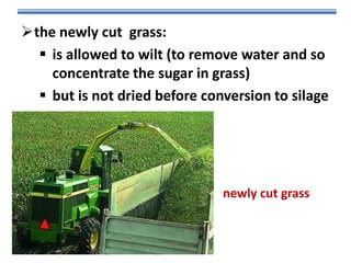 the newly cut grass:
 is allowed to wilt (to remove water and so
concentrate the sugar in grass)
 but is not dried before conversion to silage

newly cut grass

 