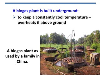 A biogas plant is built underground:
 to keep a constantly cool temperature –
overheats if above ground

A biogas plant as
used by a family in
China.

 