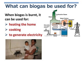 What can biogas be used for?
When biogas is burnt, it
can be used for:
 heating the home
 cooking
 to generate electricity

 