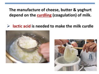 The manufacture of cheese, butter & yoghurt
depend on the curdling (coagulation) of milk.
 lactic acid is needed to make the milk curdle

 