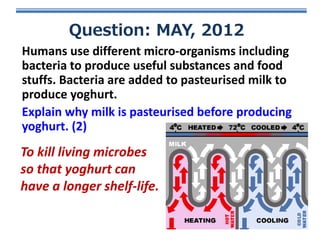 Question: MAY, 2012
Humans use different micro-organisms including
bacteria to produce useful substances and food
stuffs. Bacteria are added to pasteurised milk to
produce yoghurt.
Explain why milk is pasteurised before producing
yoghurt. (2)

To kill living microbes
so that yoghurt can
have a longer shelf-life.

 