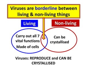 Viruses are borderline between
living & non-living things
Living
Carry out all 7
vital functions
Made of cells

Non-living
Can be
crystallised

Viruses: REPRODUCE and CAN BE
CRYSTALLISED

 