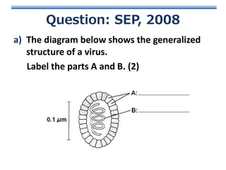 Question: SEP, 2008
a) The diagram below shows the generalized
structure of a virus.
Label the parts A and B. (2)

 