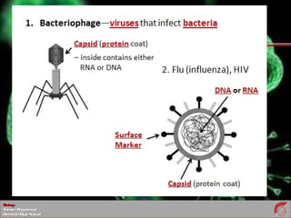 BiologyBiology
ScienceDepartmentScienceDepartment
DeerfieldHighSchoolDeerfieldHighSchool
 