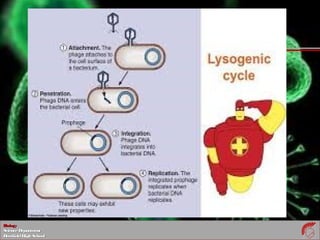 BiologyBiology
ScienceDepartmentScienceDepartment
DeerfieldHighSchoolDeerfieldHighSchool
 