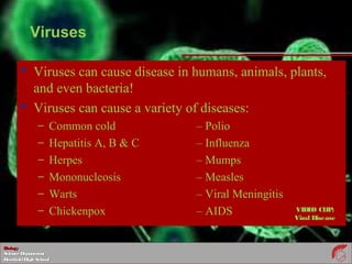 BiologyBiology
ScienceDepartmentScienceDepartment
DeerfieldHighSchoolDeerfieldHighSchool
Viruses
 Viruses can cause disease in humans, animals, plants,
and even bacteria!
 Viruses can cause a variety of diseases:
– Common cold – Polio
– Hepatitis A, B & C – Influenza
– Herpes – Mumps
– Mononucleosis – Measles
– Warts – Viral Meningitis
– Chickenpox – AIDS VIDEO CLIP:
Viral Disease
 