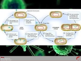 BiologyBiology
ScienceDepartmentScienceDepartment
DeerfieldHighSchoolDeerfieldHighSchool
 