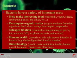 BiologyBiology
ScienceDepartmentScienceDepartment
DeerfieldHighSchoolDeerfieldHighSchool
Bacteria
 Bacteria have a variety of important uses:
– Help make interesting food (buttermilk, yogurt, cheese,
sauerkraut, pickles, and olives, etc…)
– Decompose organic matter (recycle nutrients from dead
organisms; break down sewage into simpler compounds)
– Nitrogen fixation (chemically changes nitrogen gas, N2,
into ammonia, NH3, so plants can make amino acids)
– Human health (bacteria on skin help prevent infection &
bacteria in gut helps digest food & make vitamins)
– Biotechnology (used to make antibiotics, insulin, human
growth hormone, vitamins, and other drugs)
 