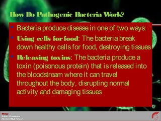 BiologyBiology
ScienceDepartmentScienceDepartment
DeerfieldHighSchoolDeerfieldHighSchool
How Do Pathogenic Bacteria Work?
 Bacteriaproducediseasein oneof two ways:
 Using cells forfood: Thebacteriabreak
down healthy cellsfor food, destroying tissues
 Releasing toxins: Thebacteriaproducea
toxin (poisonousprotein) that isreleased into
thebloodstream whereit can travel
throughout thebody, disrupting normal
activity and damaging tissues
 