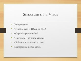 Bacteria, Virus ,Fungi, structure, classification | PPTX
