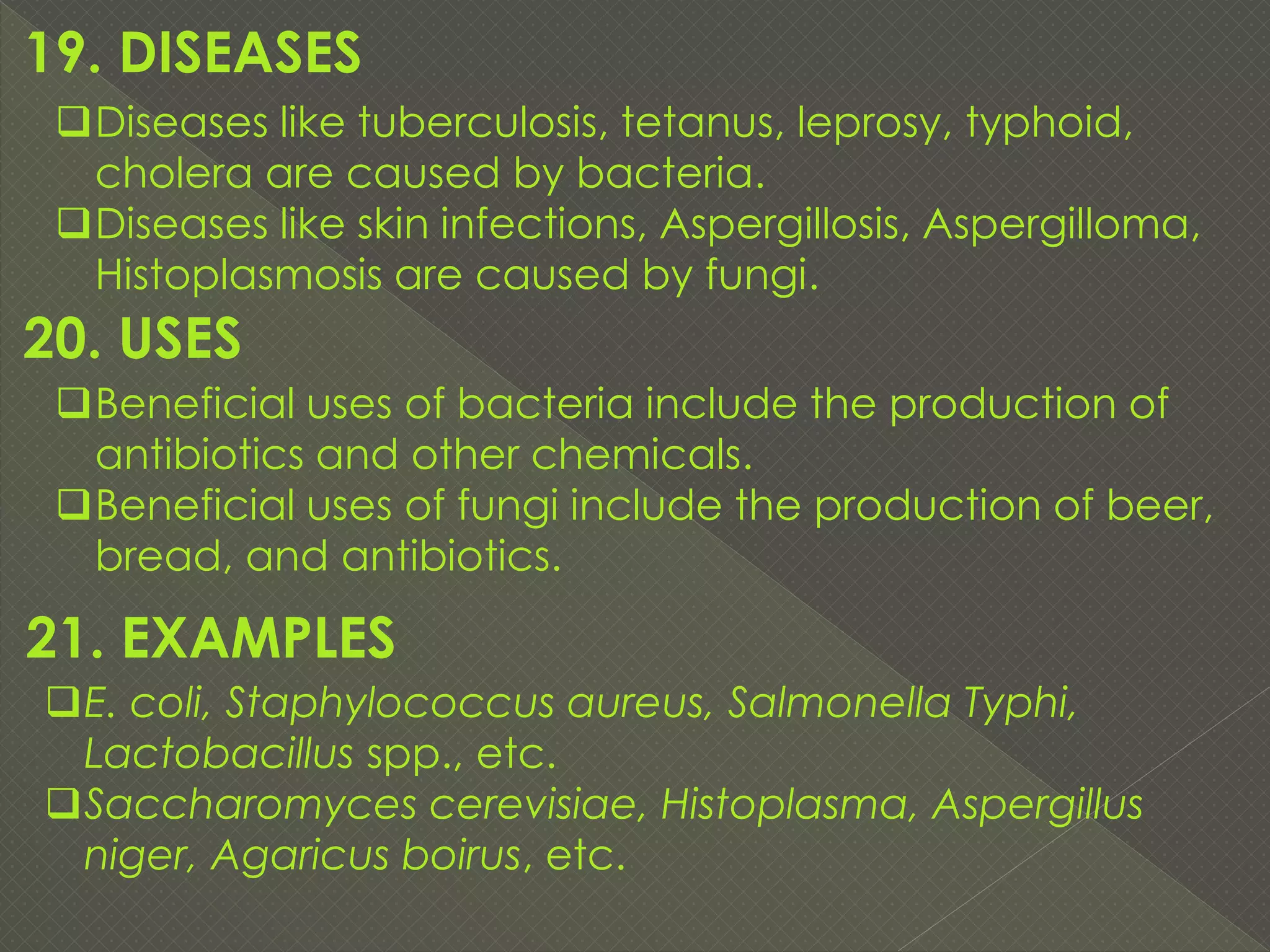 Bacteria versus fungi, Difference between bacteria and fungi | PDF