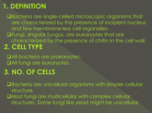 Bacteria versus fungi, Difference between bacteria and fungi | PDF ...