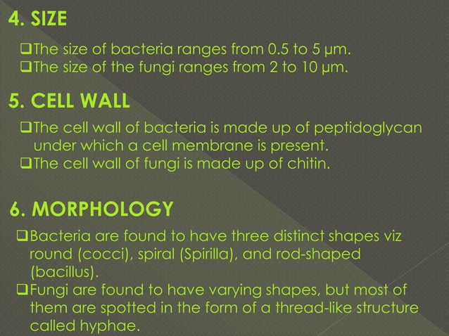 Bacteria versus fungi, Difference between bacteria and fungi | PDF ...