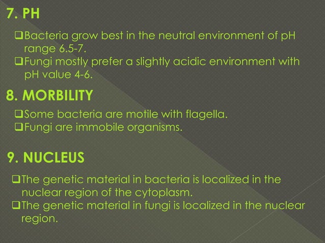 Bacteria versus fungi, Difference between bacteria and fungi | PDF ...