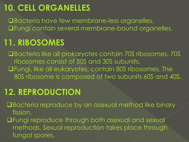 Bacteria versus fungi, Difference between bacteria and fungi | PDF ...