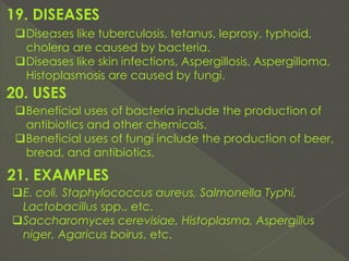 Bacteria versus fungi, Difference between bacteria and fungi | PDF