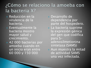  Reducción en la 
virulencia de la 
bacteria. 
 Eventualmente la 
bacteria mostro 
mayor salud y 
crecimiento. 
 42 000 bacterias por 
amoeba cuando en 
un inicio eran entre 
60 000 y 150 000 
 Desarrollo de 
dependencia por 
parte del hospedero. 
 La bacteria suprime 
la expresión génica 
del gen que codifica 
para S-adenosilmetionina 
sintetasa (SAMS) 
 Aun muestra la mitad 
de actividad SAMS 
una vez infectada. 
 