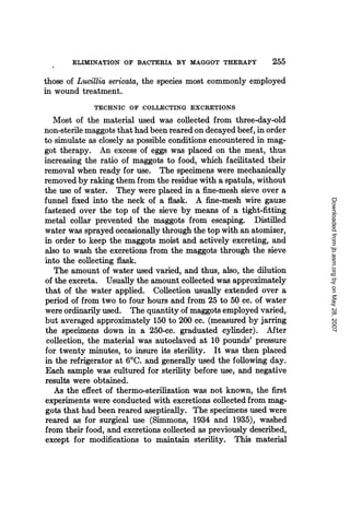 ELIMINATION OF BACTERIA BY MAGGOT THERAPY              255
those of Lucillia sericata, the species most commonly employed
in wound treatment.
             TECHNIC OF COLLECTING EXCRETIONS
   Most of the material used was collected from three-day-old
non-sterile maggots that had been reared on decayed beef, in order
to simulate as closely as possible conditions encountered in mag-
got therapy. An excess of eggs was placed on the meat, thus
increasing the ratio of maggots to food, which facilitated their
removal when ready for use. The specimens were mechanically
removed by raking them from the residue with a spatula, without
the use of water. They were placed in a fine-mesh sieve over a
funnel fixed into the neck of a flask. A fine-mesh wire gauze




                                                                     Downloaded from jb.asm.org by on May 28, 2007
fastened over the top of the sieve by means of a tight-fitting
metal collar prevented the maggots from escaping. Distilled
water was sprayed occasionally through the top with an atomizer,
in order to keep the maggots moist and actively excreting, and
also to wash the excretions from the maggots through the sieve
into the collecting flask.
   The amount of water used varied, and thus, also, the dilution
of the excreta. Usually the amount collected was approximately
that of the water applied. Collection usually extended over a
period of from two to four hours and from 25 to 50 cc. of water
were ordinarily used. The quantity of maggots employed varied,
but averaged approximately 150 to 200 cc. (measured by jarring
the specimens down in a 250-cc. graduated cylinder). After
 collection, the material was autoclaved at 10 pounds' pressure
for twenty minutes, to insure its sterility. It was then placed
in the refrigerator at 60C. and generally used the following day.
Each sample was cultured for sterility before use, and negative
results were obtained.
   As the effect of thermo-sterilization was not known, the first
experiments were conducted with excretions collected from mag-
gots that had been reared aseptically. The specimens used were
reared as for surgical use (Simmons, 1934 and 1935), washed
from their food, and excretions collected as previously described,
except for modifications to maintain sterility. This material
 